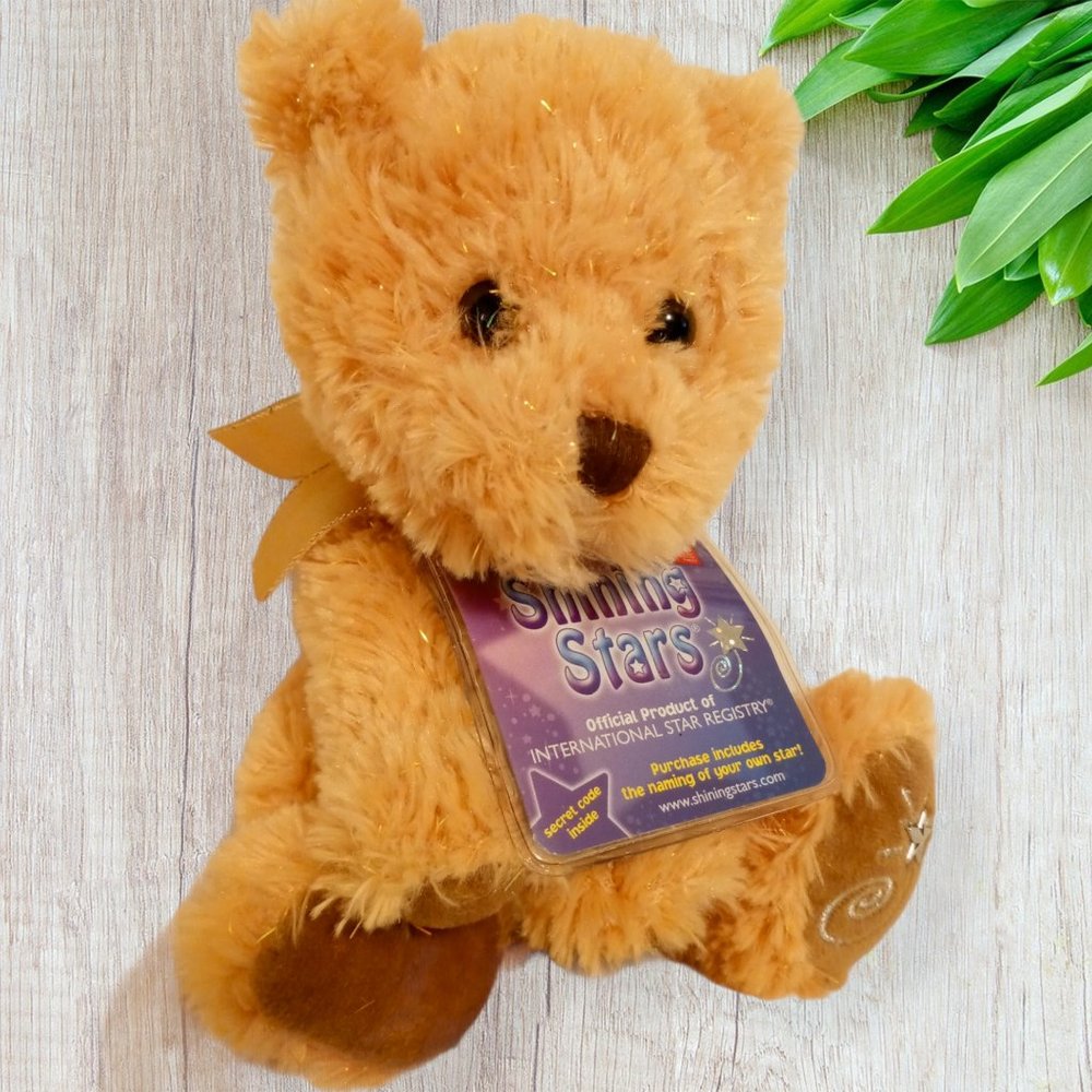 Teddy Bear Stuffed Animal Plush Name A Star Present Birthday Gift Russ Shining